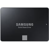 120GB Samsung 750 Evo bulk 2.5" (6.4cm) SATA 6Gb/s V-NAND TLC