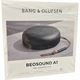 Bang&Olufsen BeoPlay A1 2nd Edition Lautsprecher, schwarz