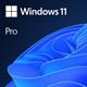 Microsoft Windows 11 Pro 64 Bit OEM/DSP (deutsch) DVD