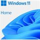 Microsoft Windows 11 Home 64 Bit OEM/DSP (deutsch) DVD